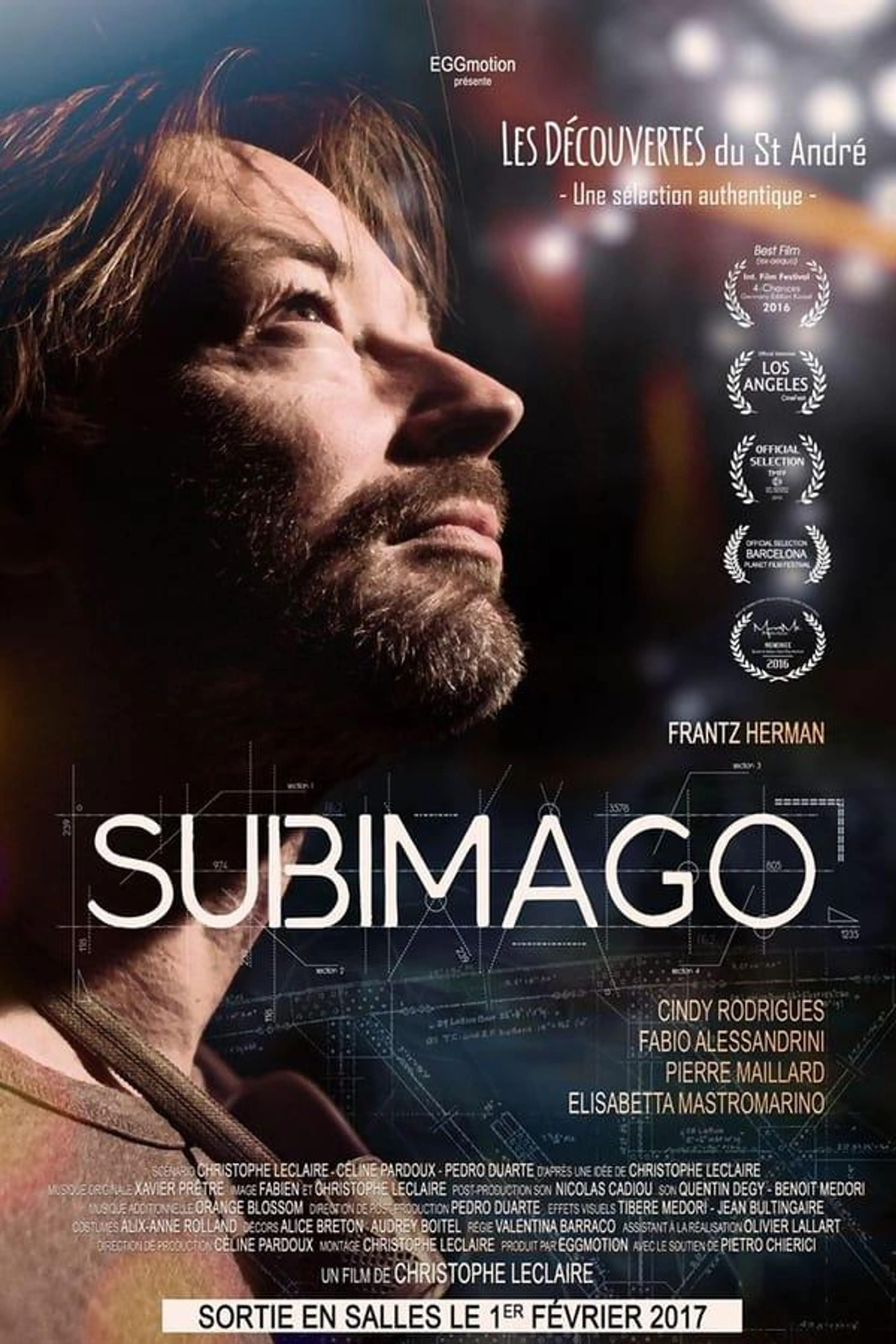Subimago