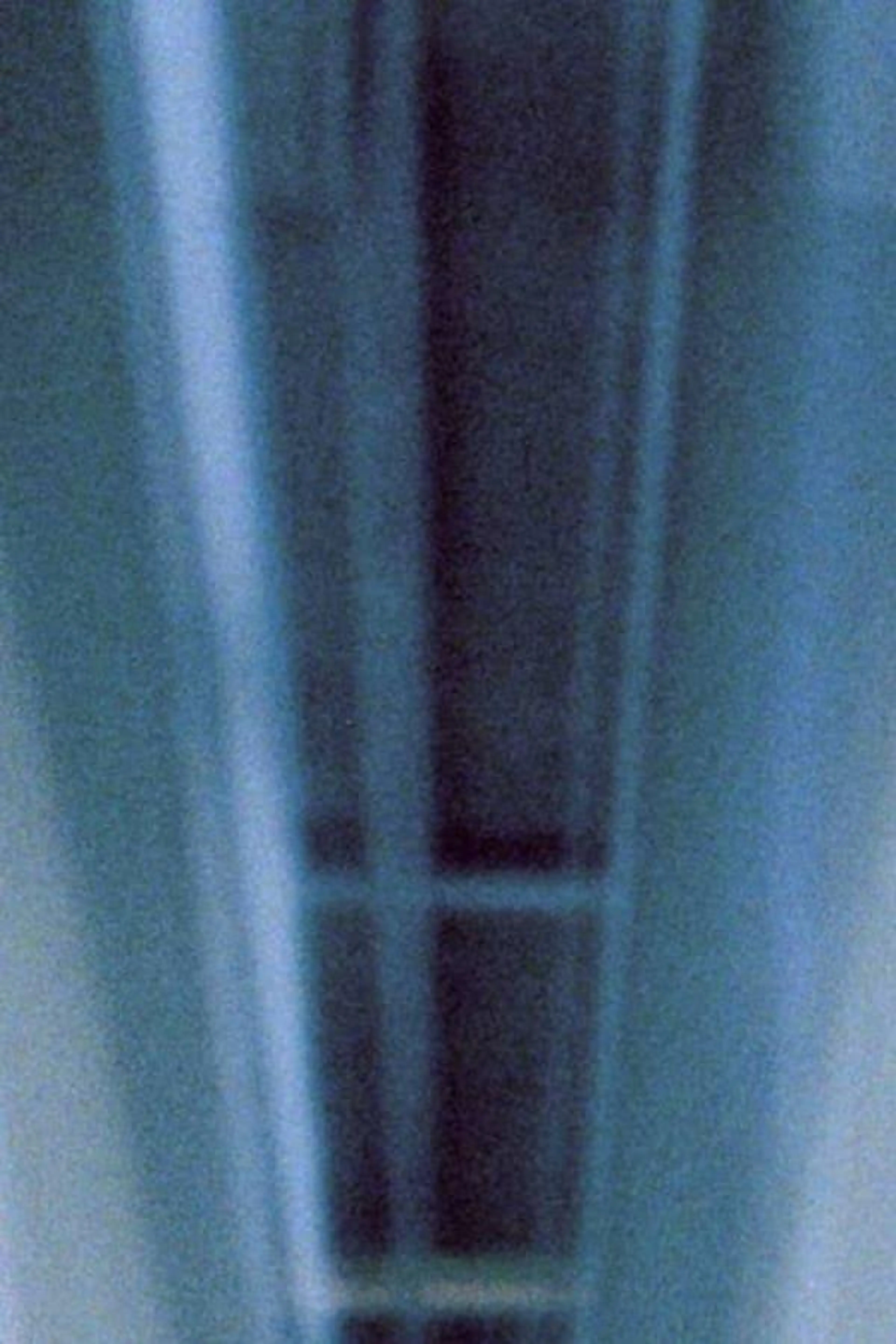 Untitled (Generali Foundation Vienna)
