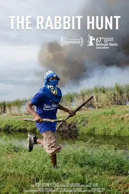 The Rabbit Hunt