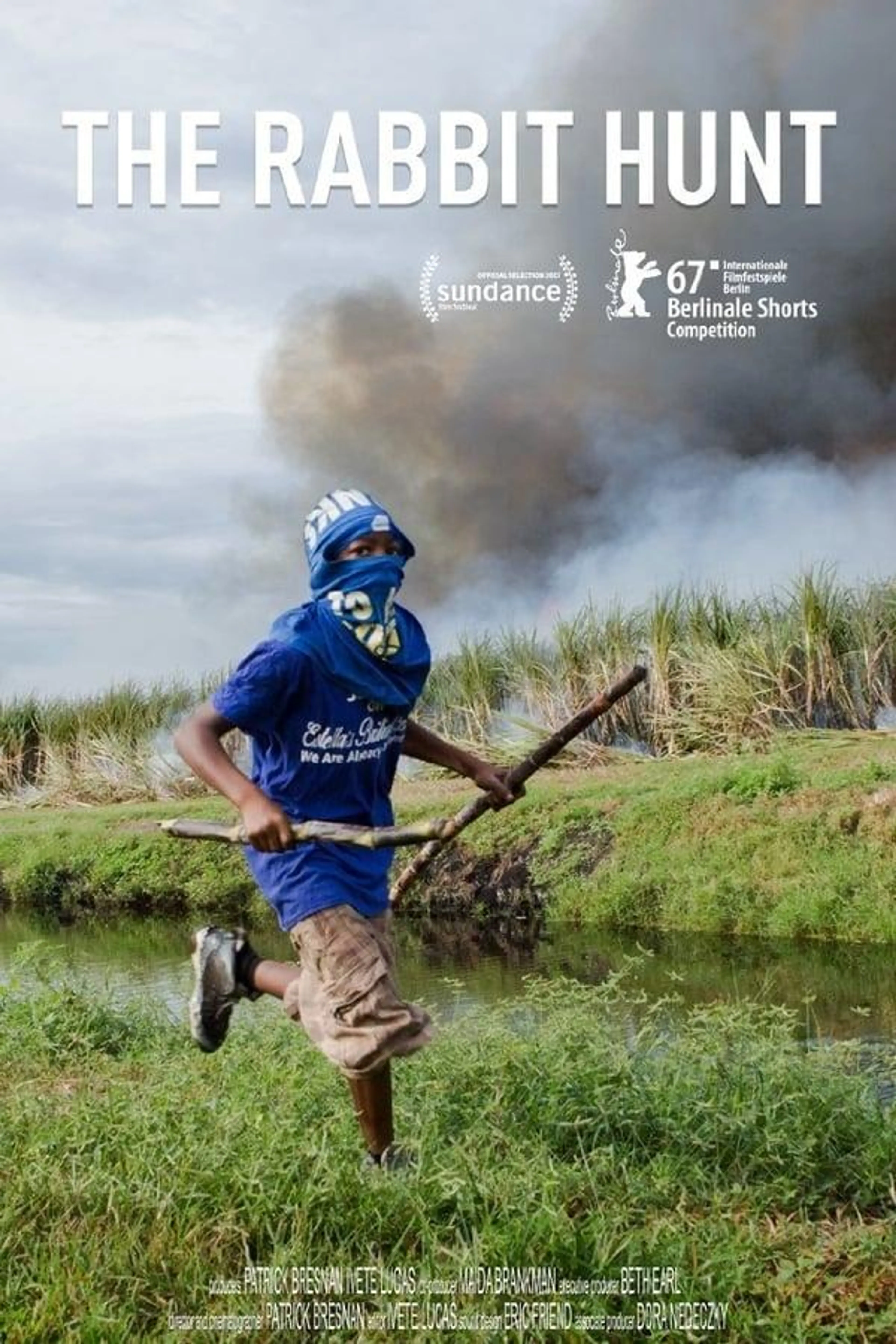 The Rabbit Hunt