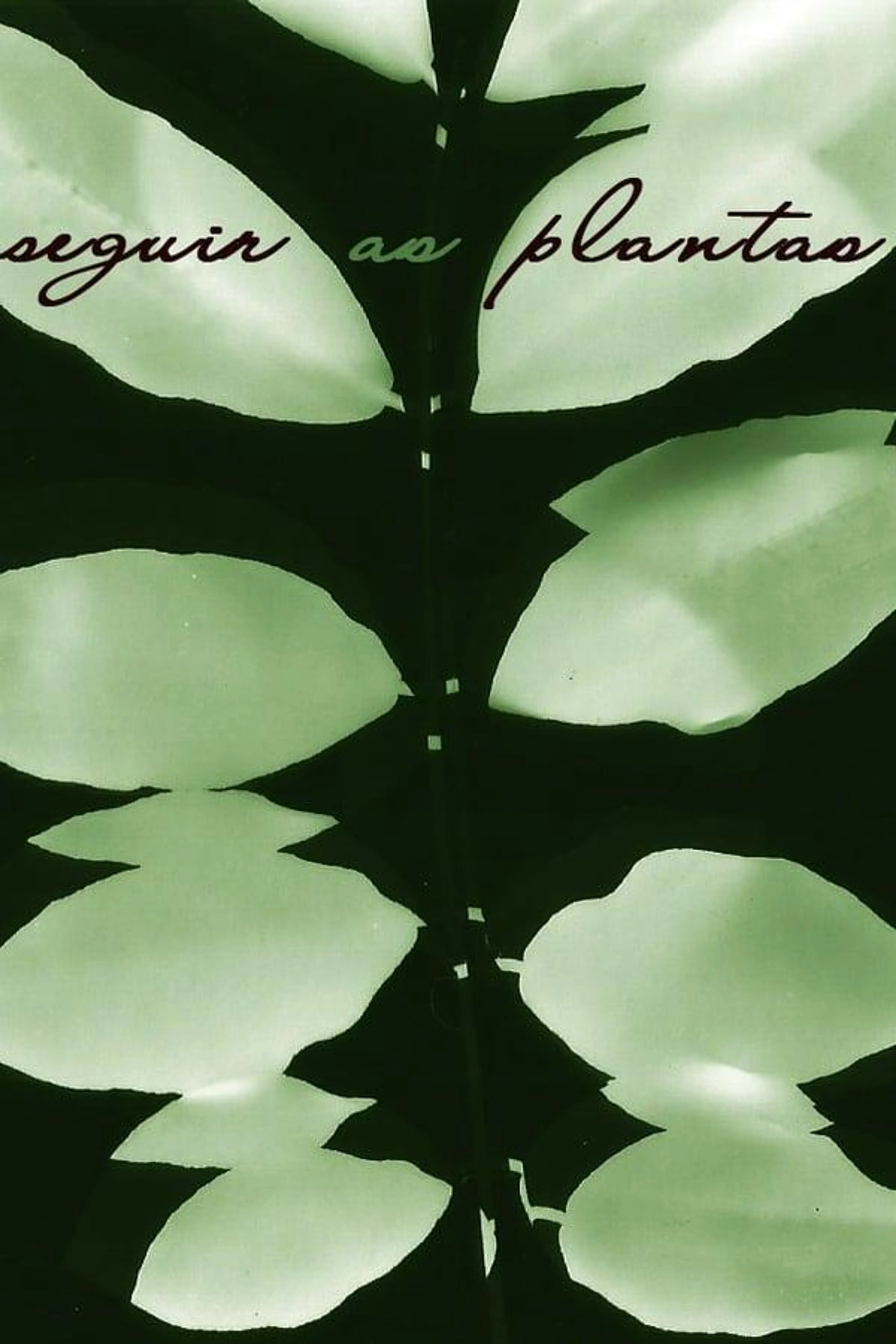 Seguir as Plantas