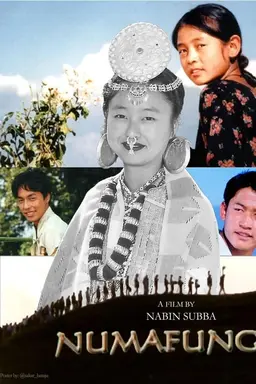 Numafung