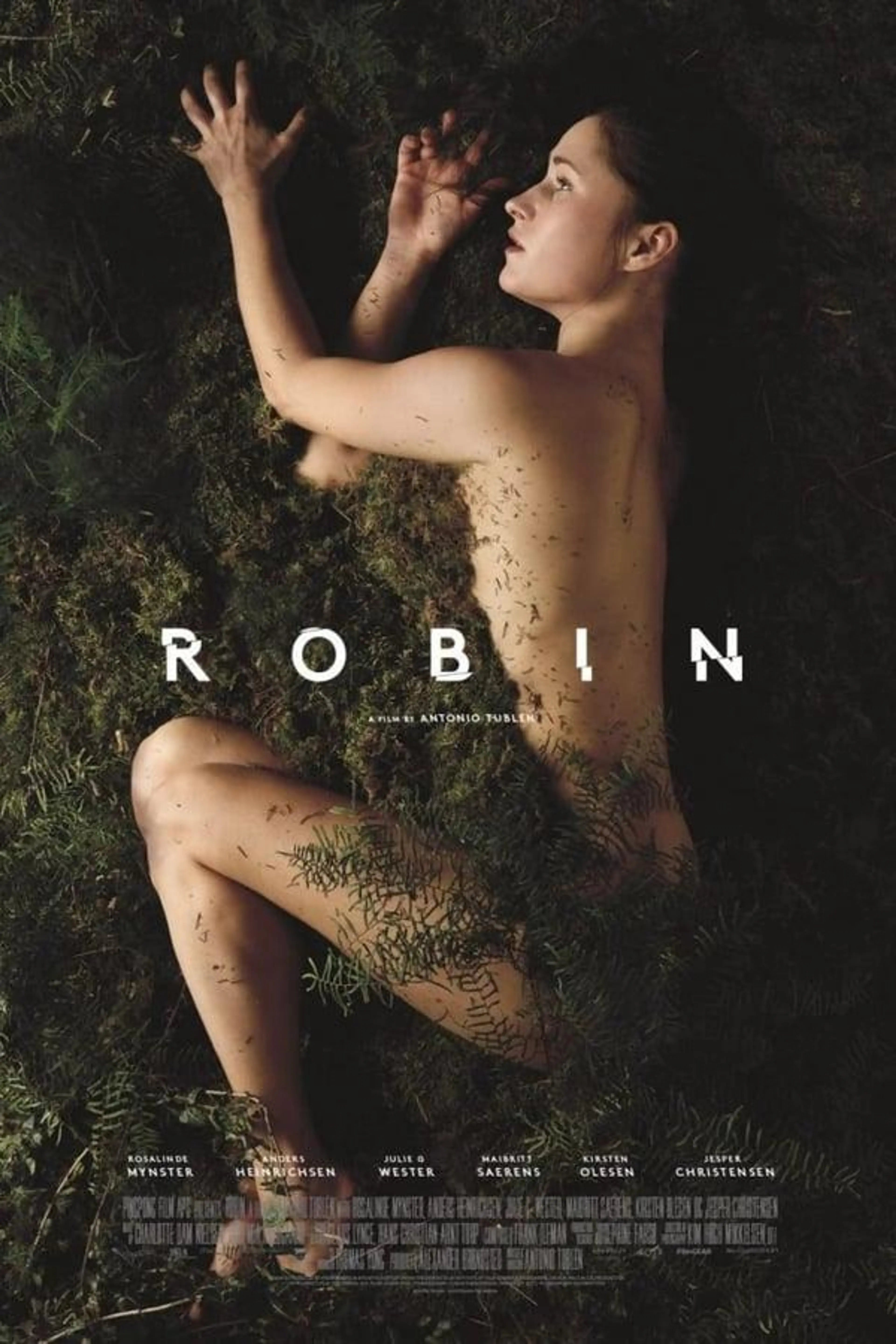 Robin