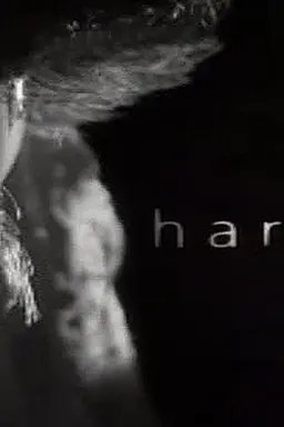 Harvey