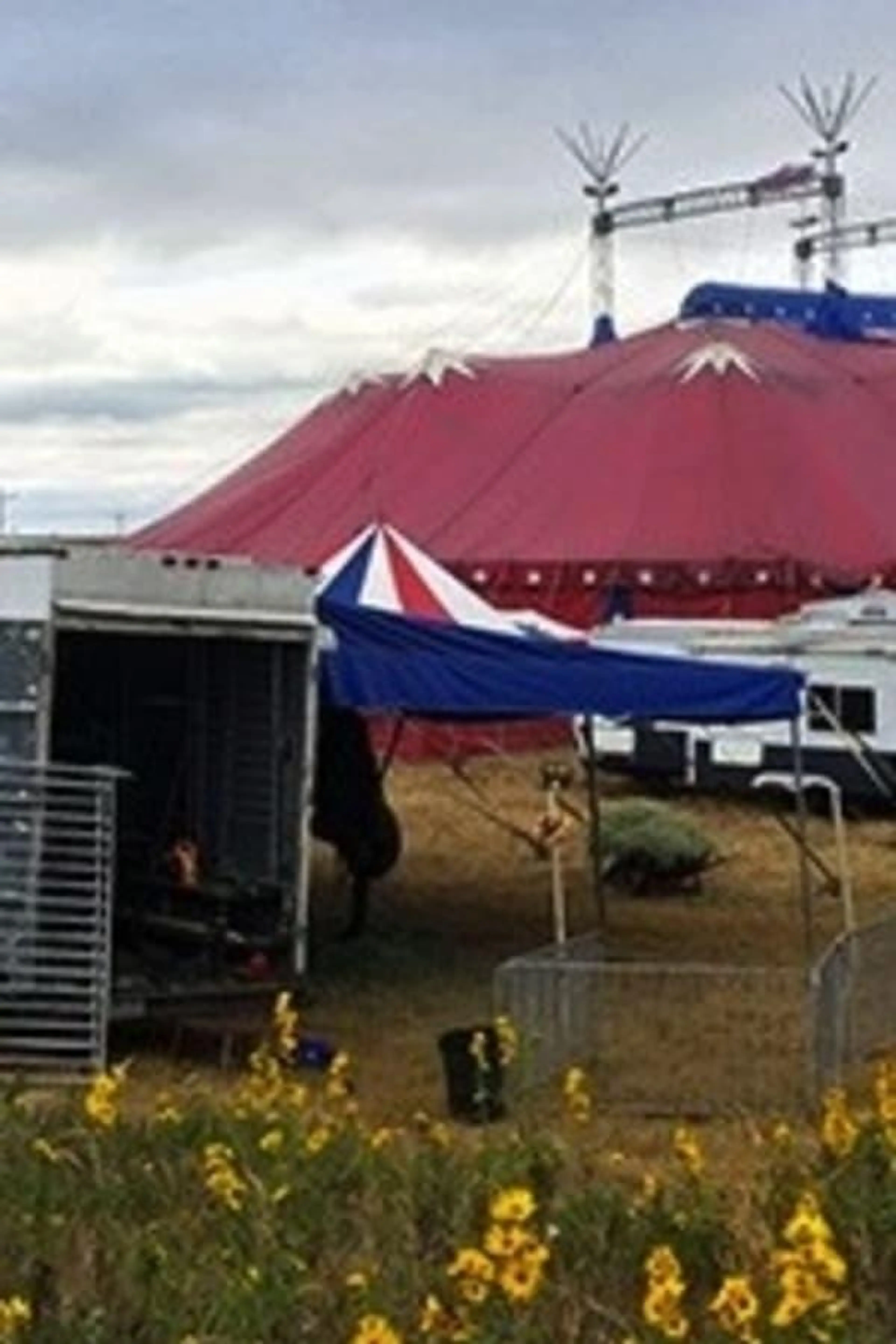 Circus City, USA