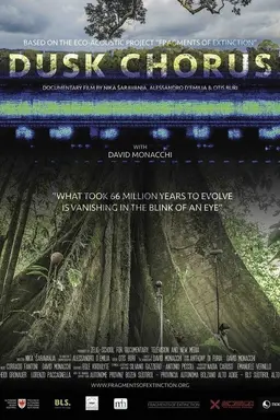 Dusk Chorus