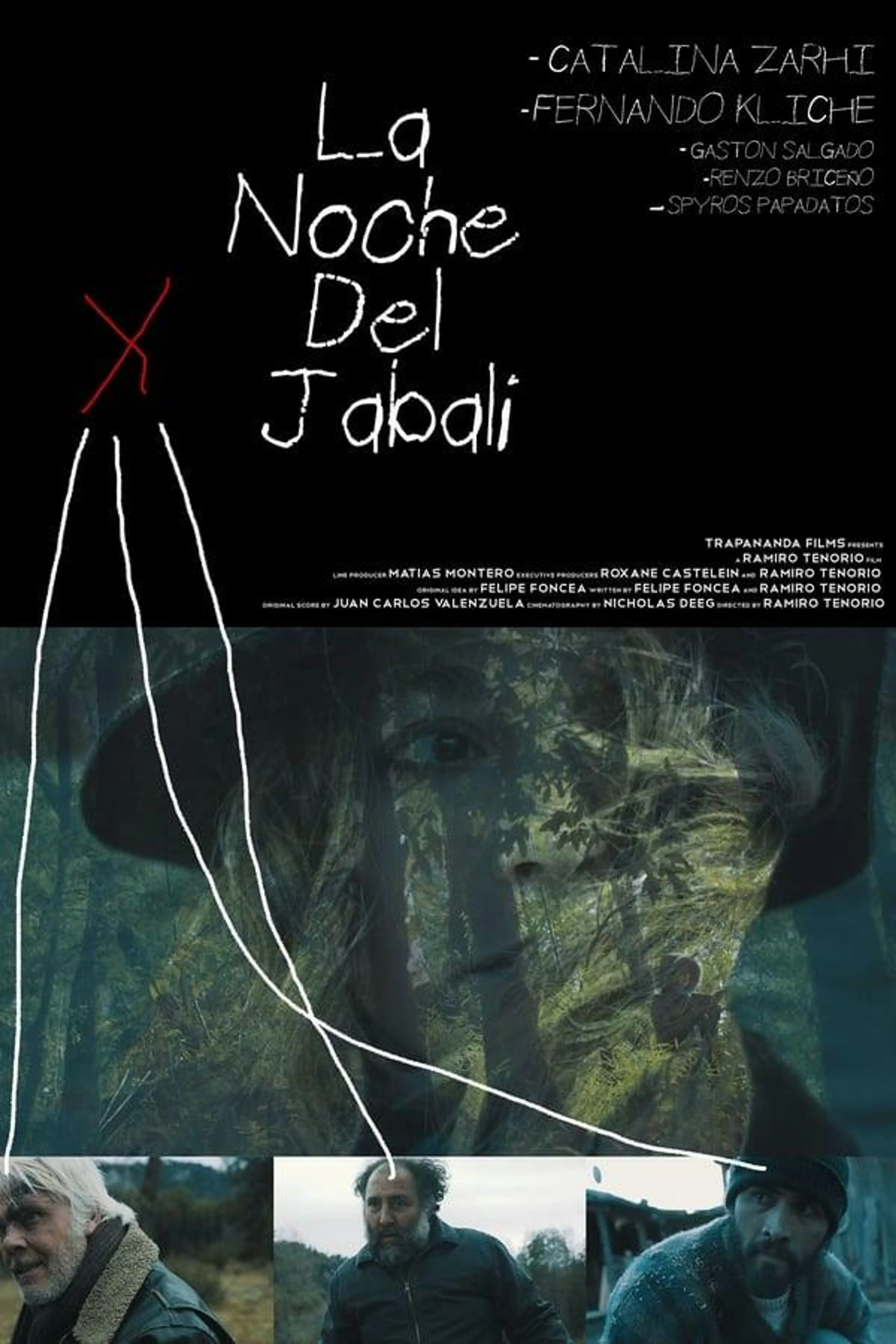 The Night Of The Wild Boar