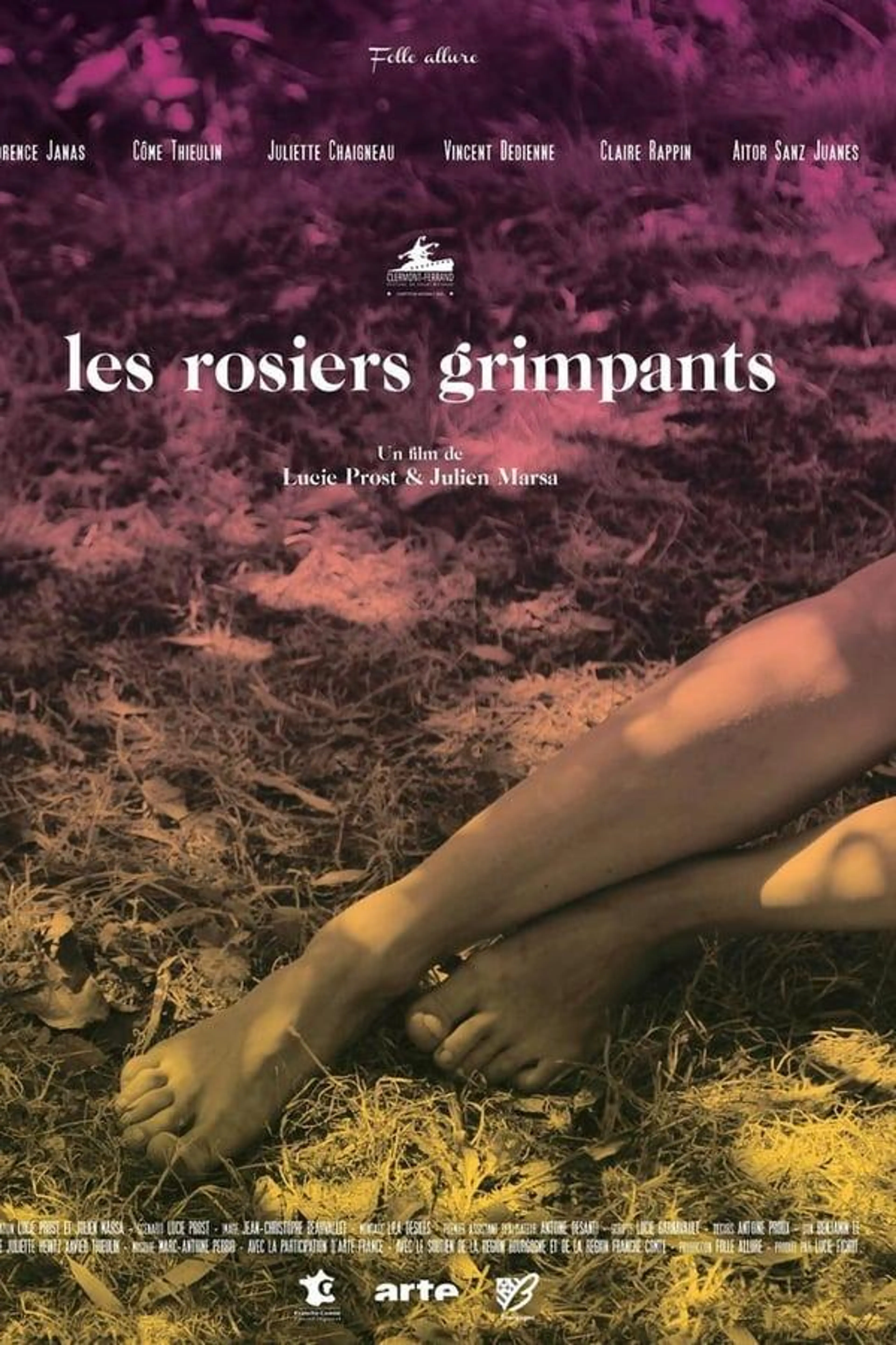 The Climbing Roses
