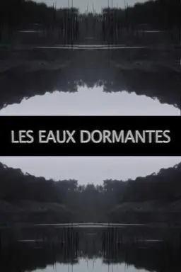 Les Eaux dormantes