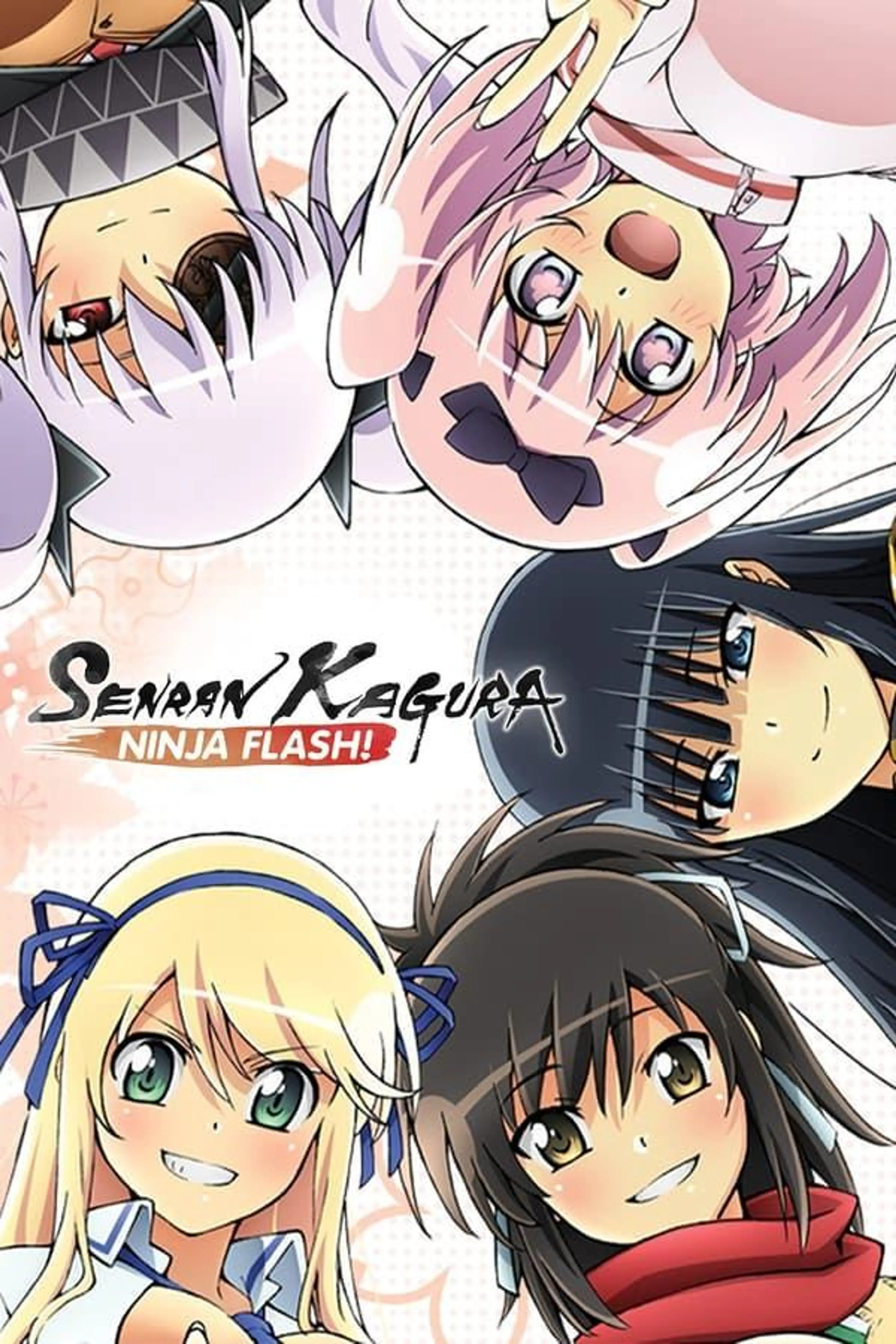Senran Kagura: Ninja Flash Ninja Flash