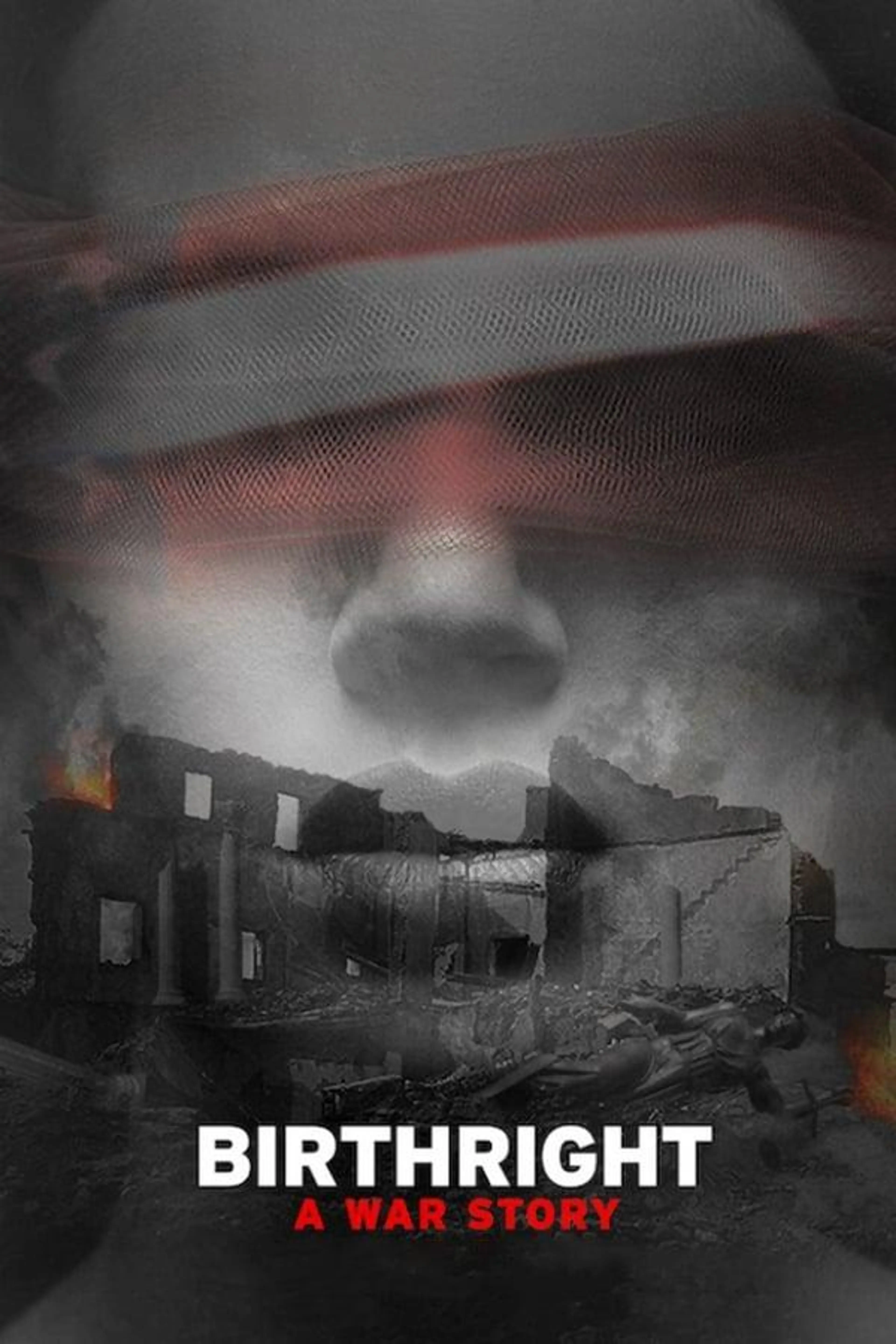 Birthright: A War Story
