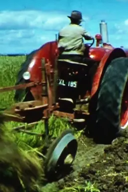 The Farmer's Cinematheque
