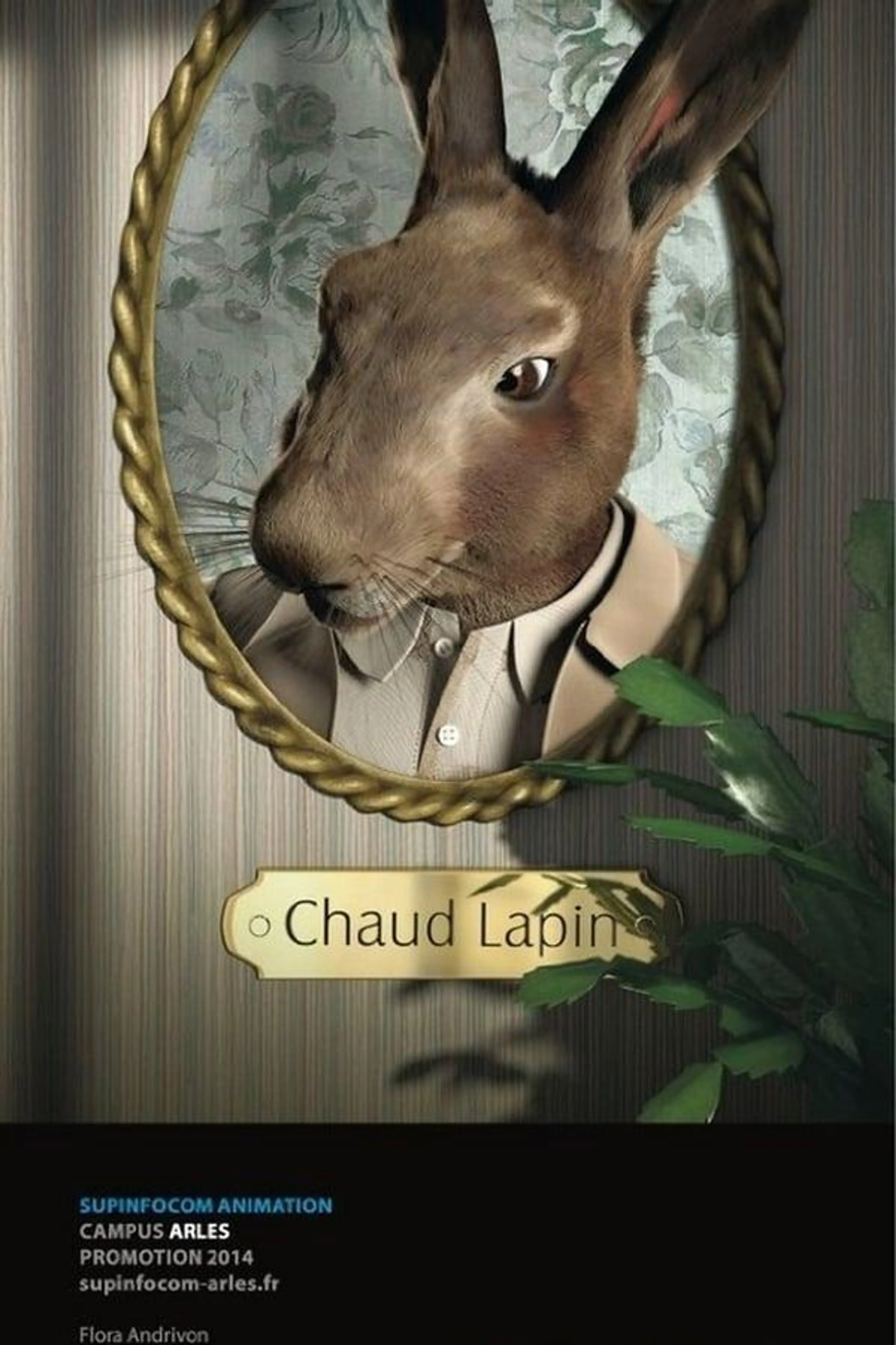 Chaud Lapin