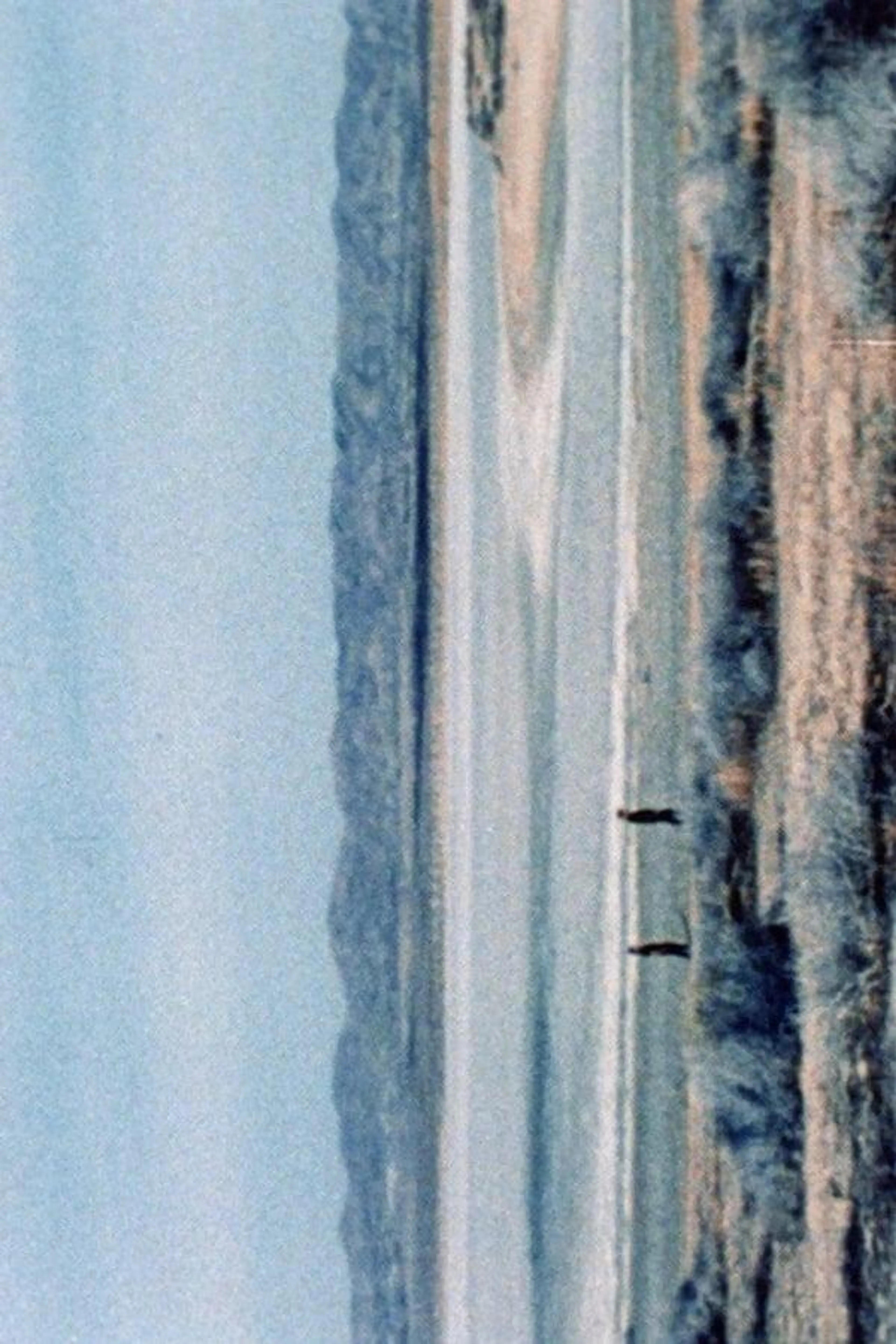 (100ft)