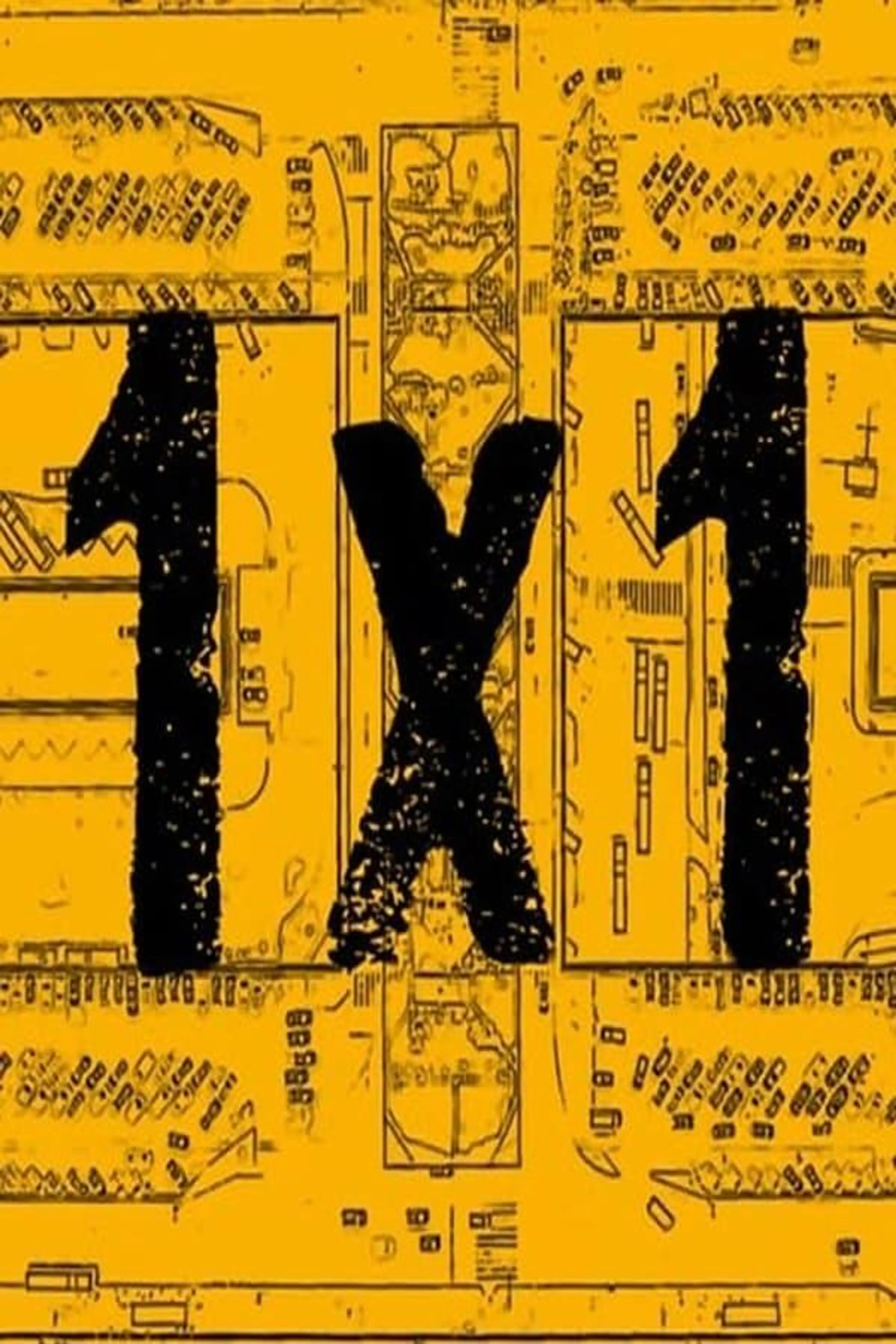 1x1