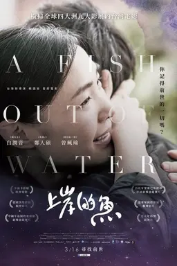 A Fish Out of Water