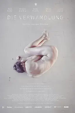Metamorphosis