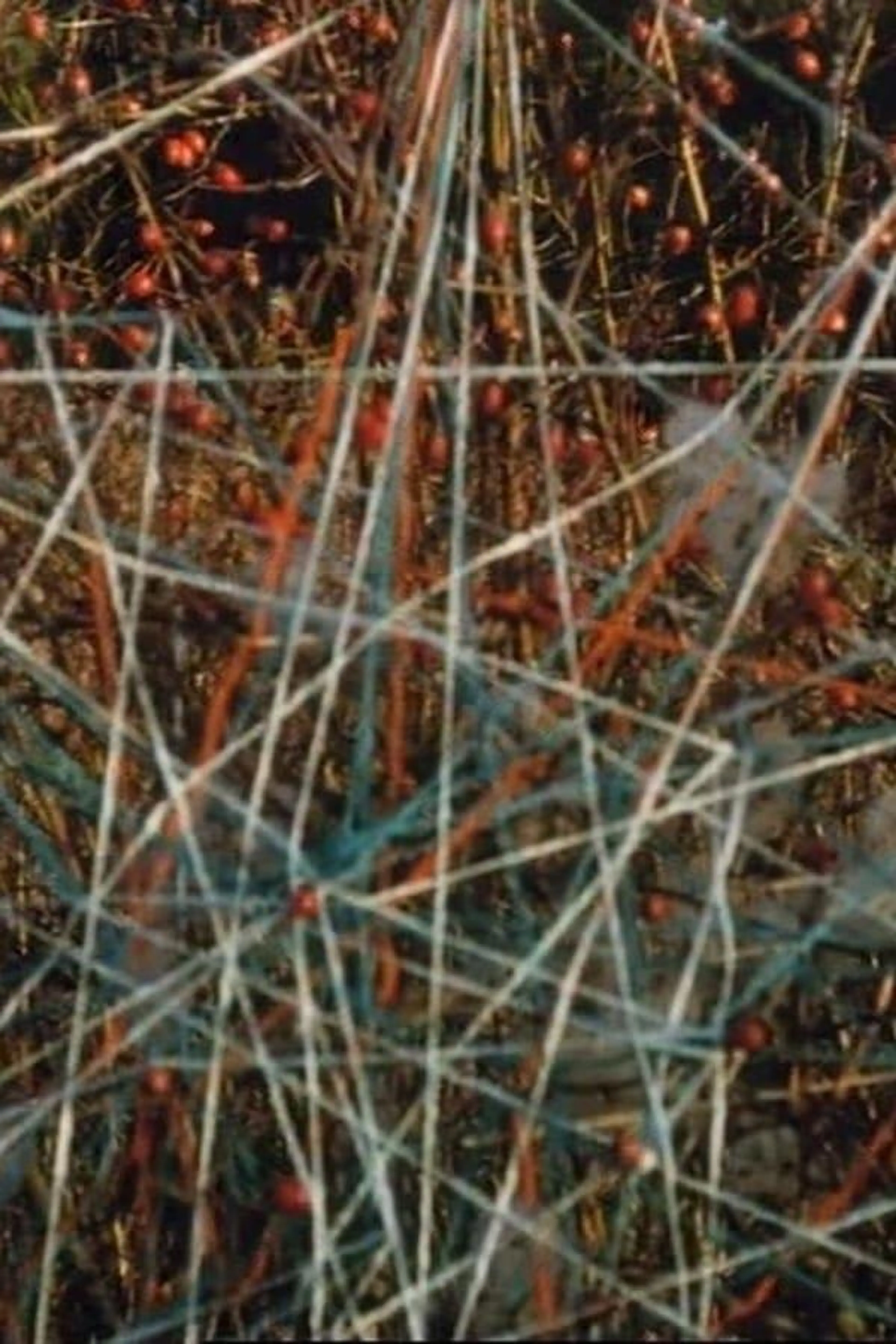 Toying with Strings