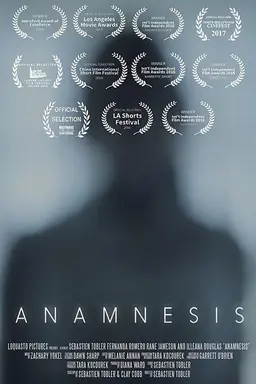 Anamnesis