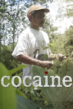 Cocaine Season 1