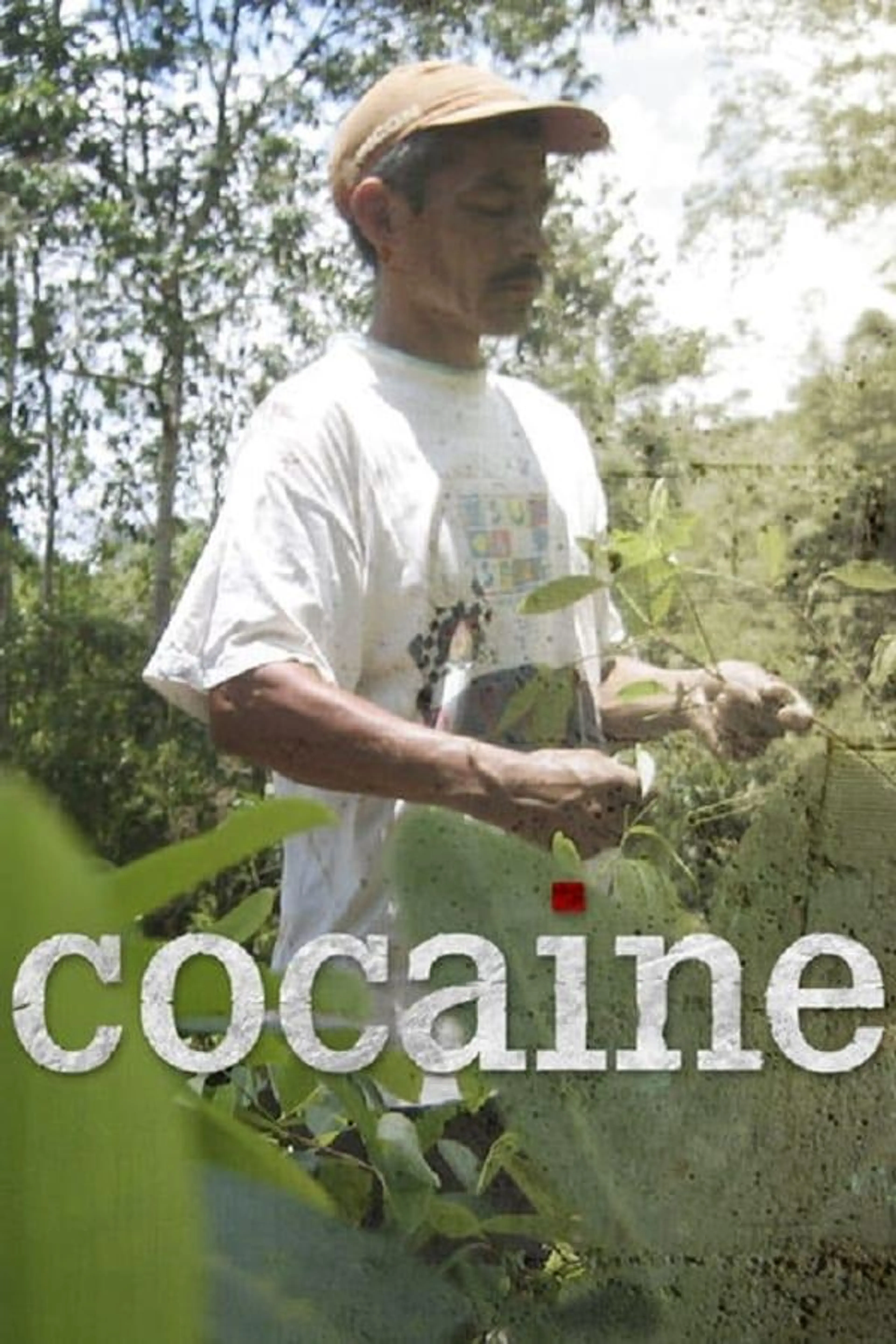Cocaine Season 1