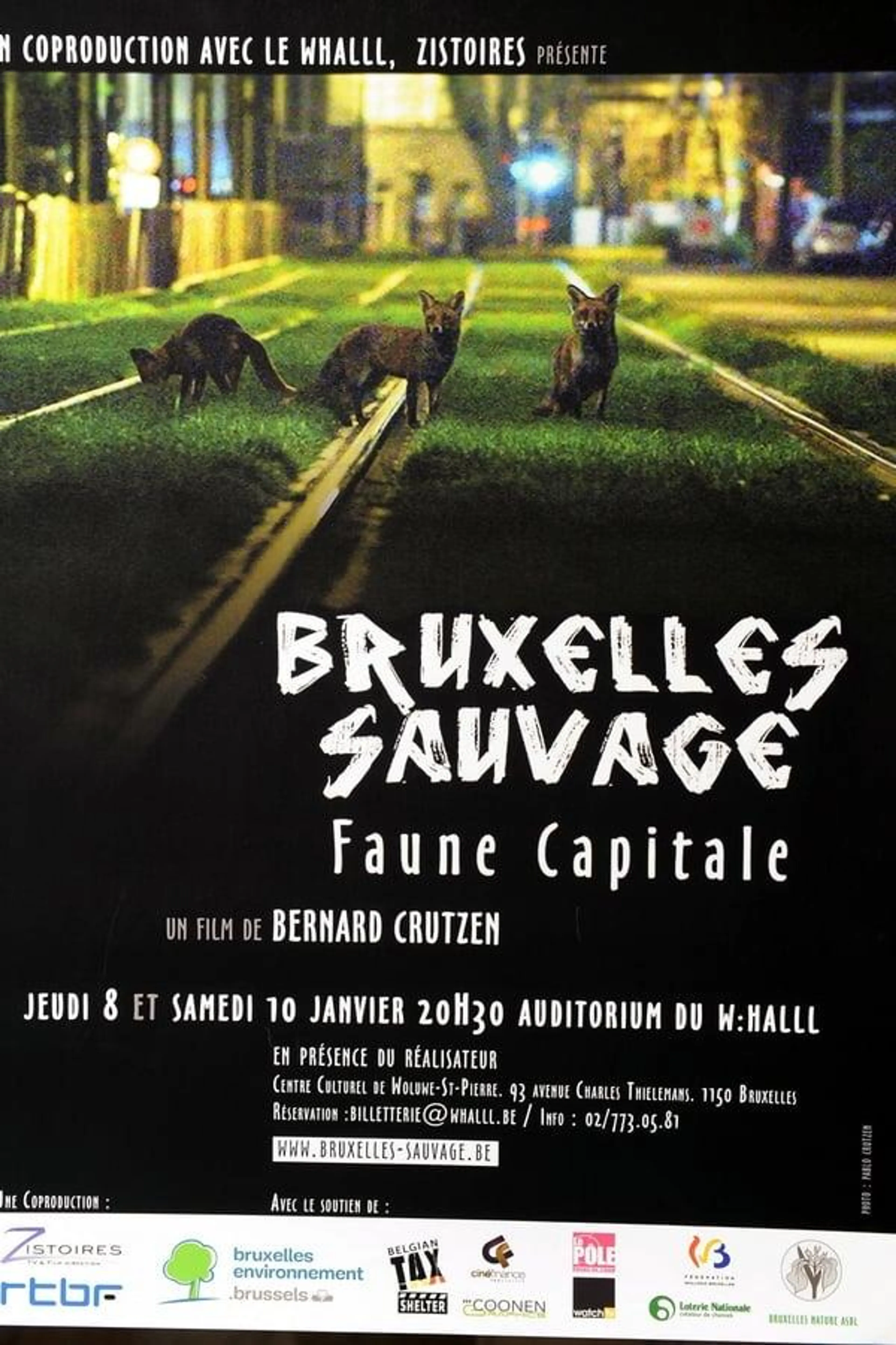 Brussels, the Wild Side