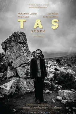The Stone