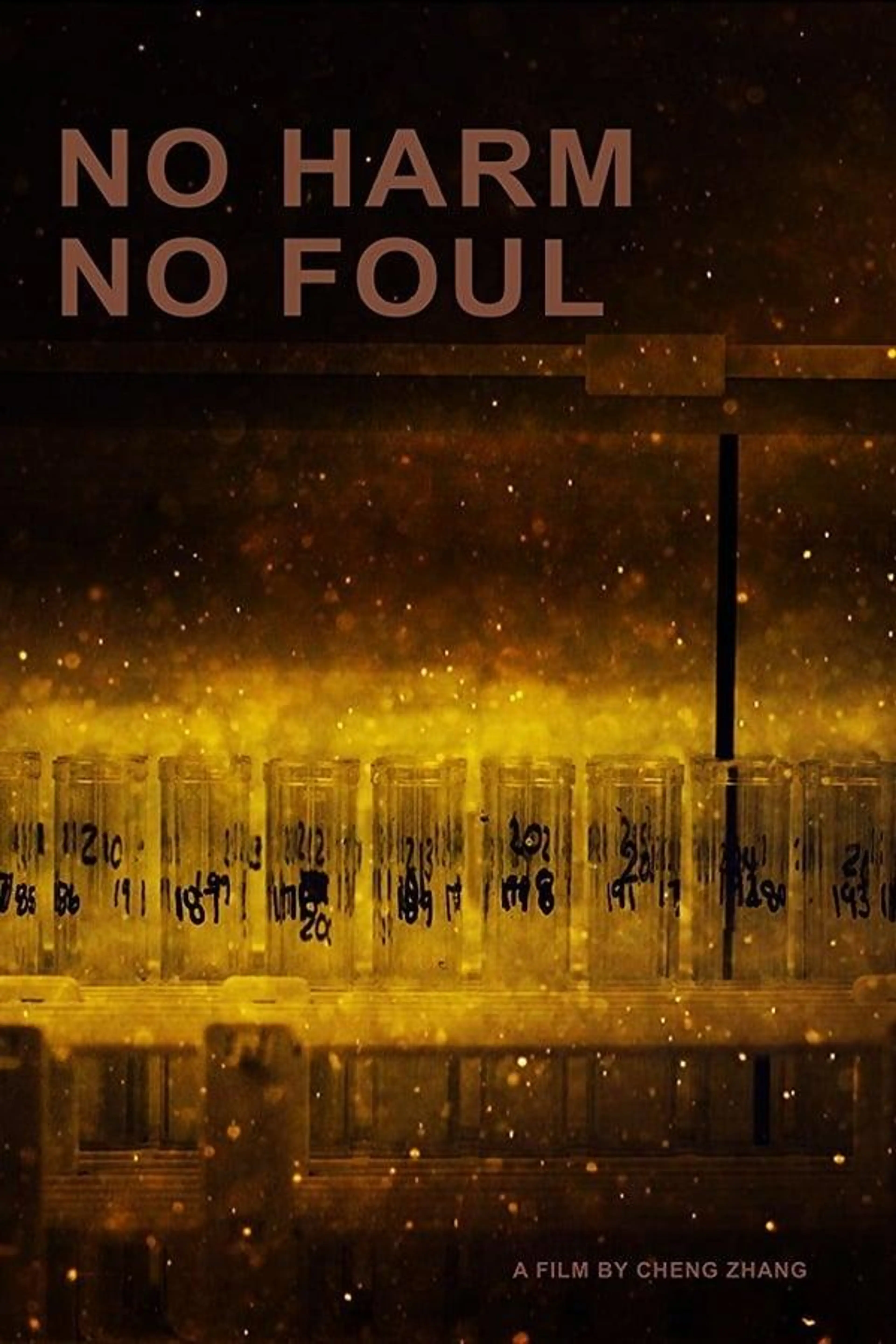 No Harm No Foul
