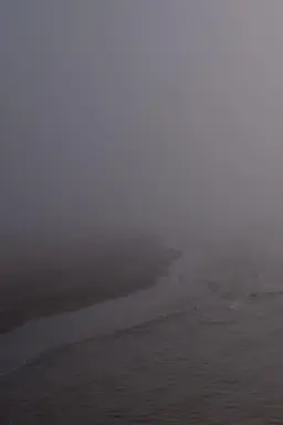 Niebla