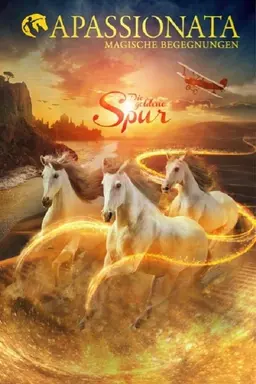 Apassionata, la magie du miroir