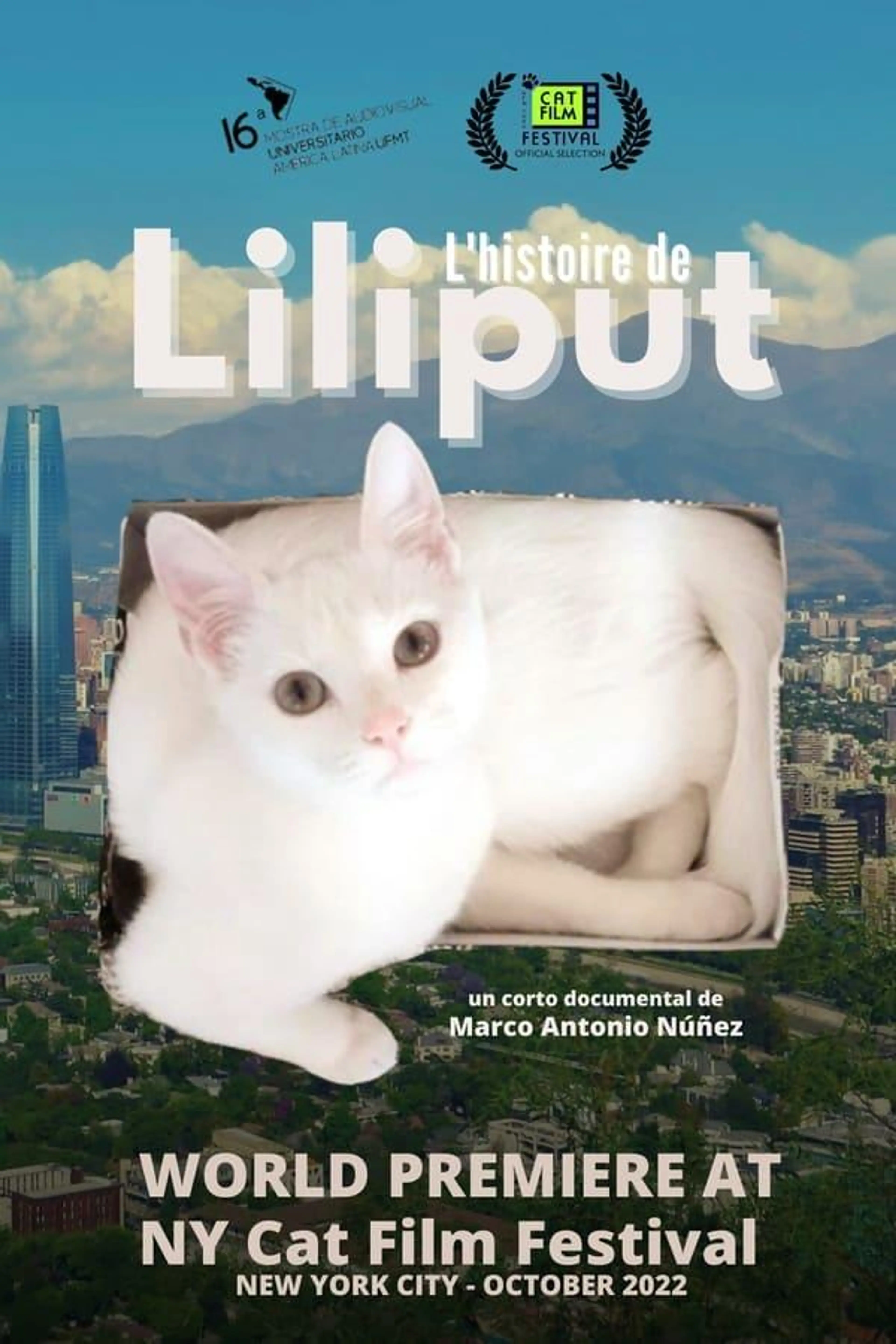 Liliput's Story