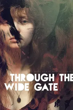 Through the Wide Gate