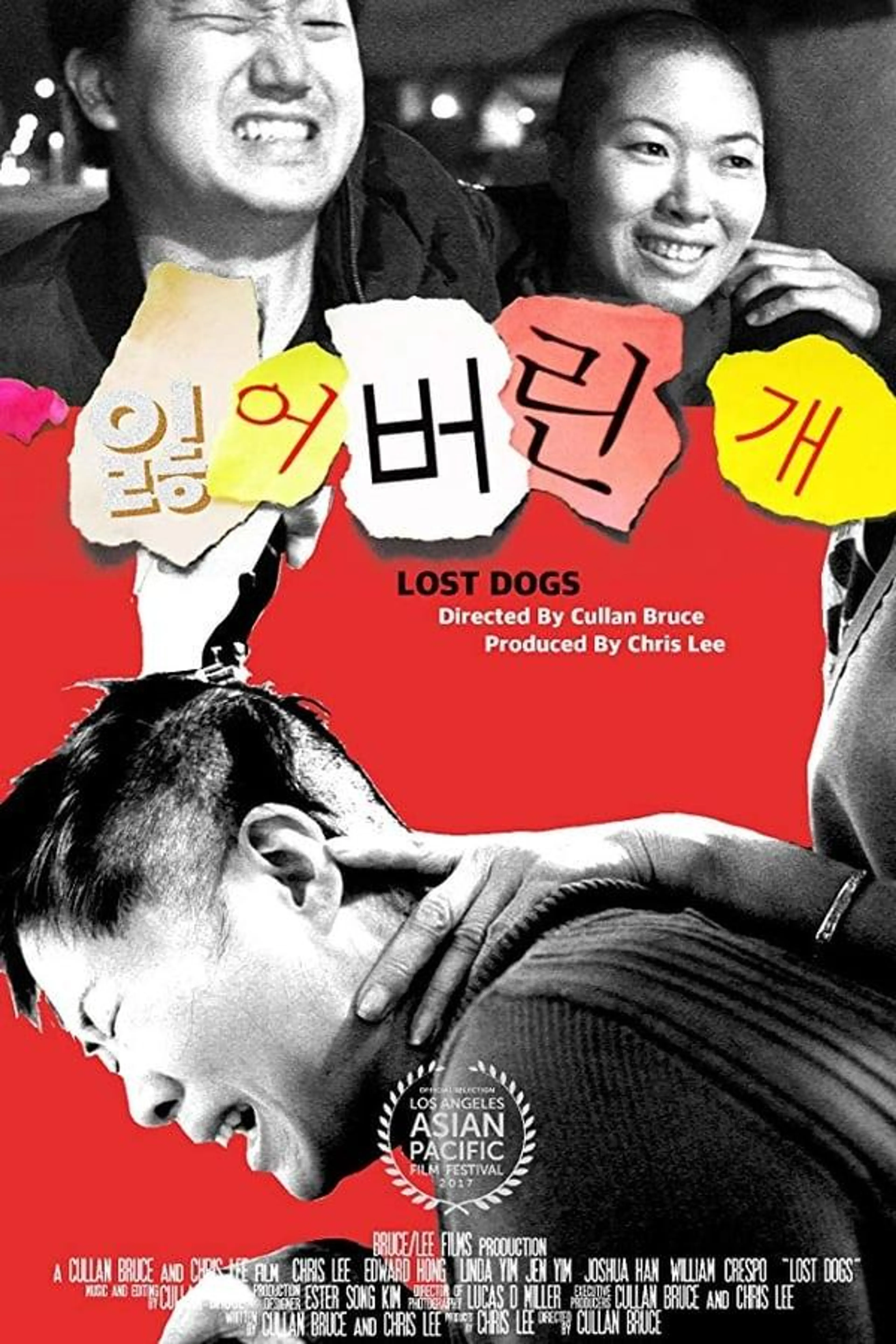 Lost Dogs