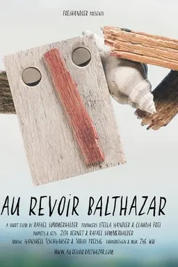 Goodbye Balthazar