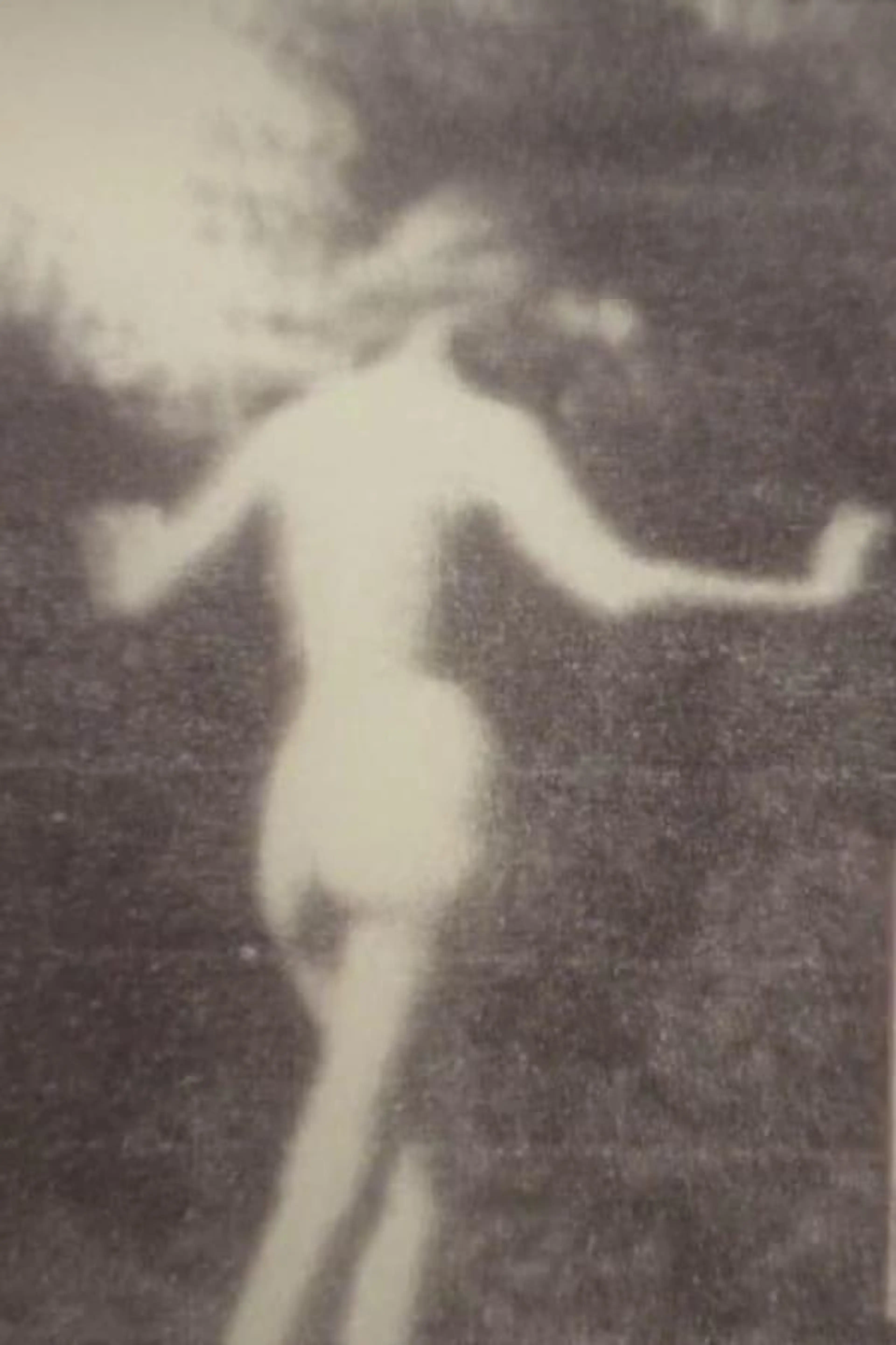 Britomarti