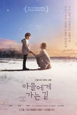 Journey to My Boy