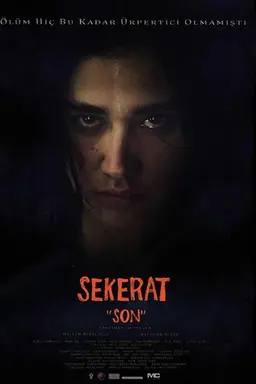 Sekerat "Son"