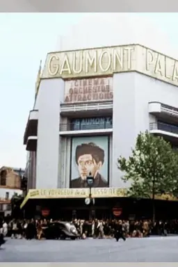 Sold Out!: Cinema Under Occupation