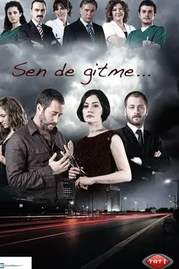 Sen de Gitme Season 2