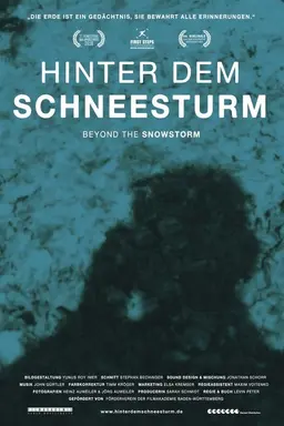 Beyond the Snowstorm