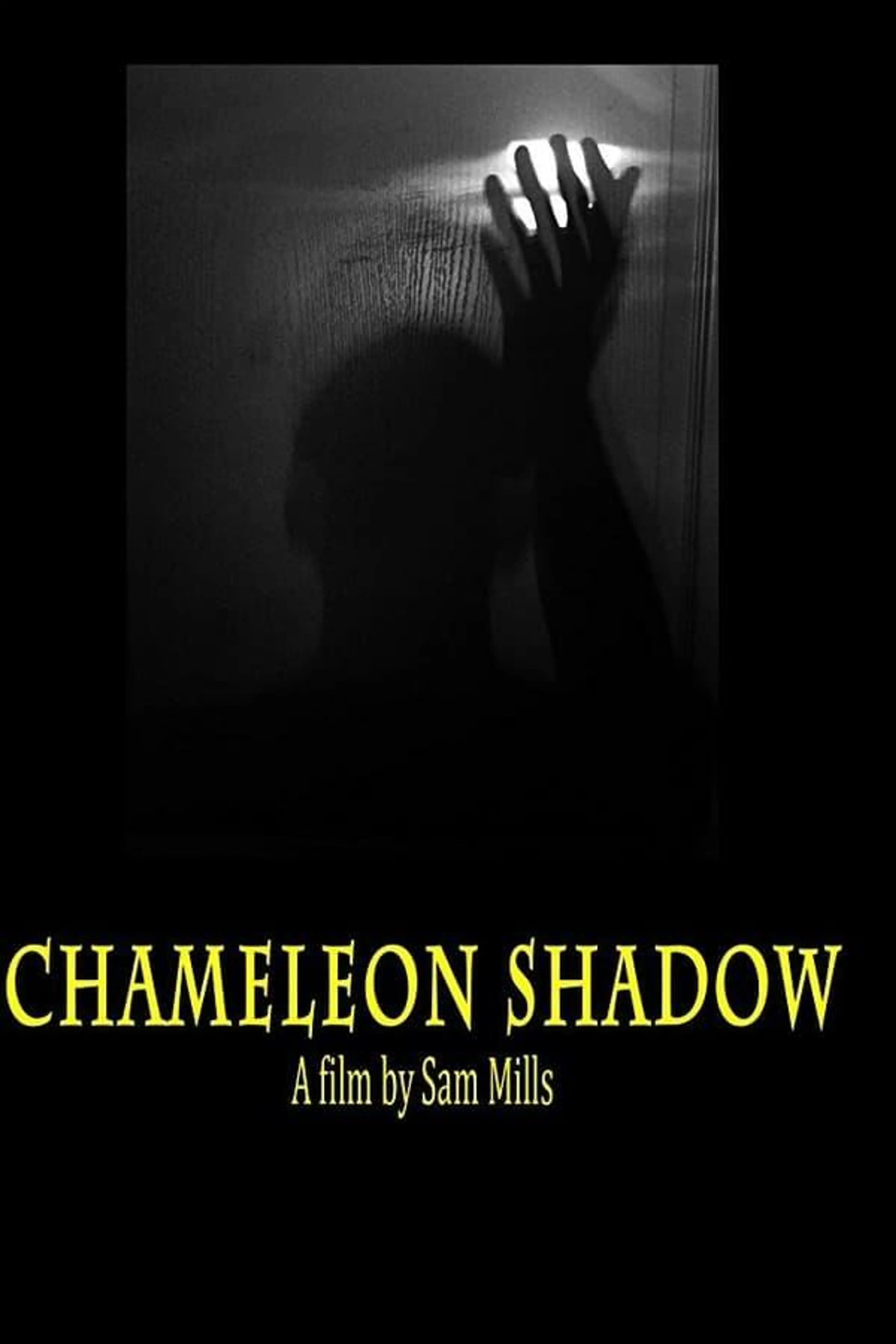 Chameleon Shadow
