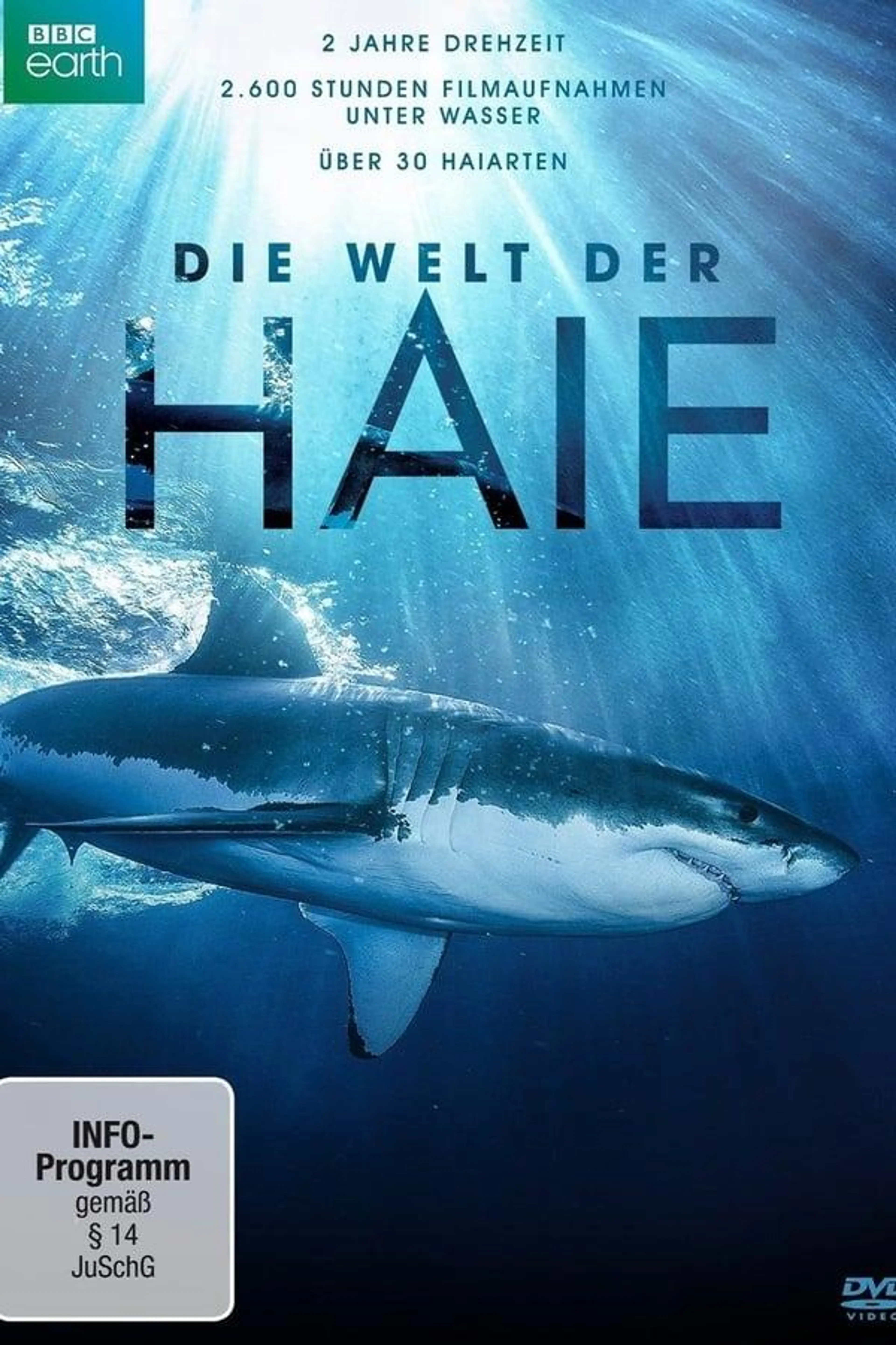 Shark