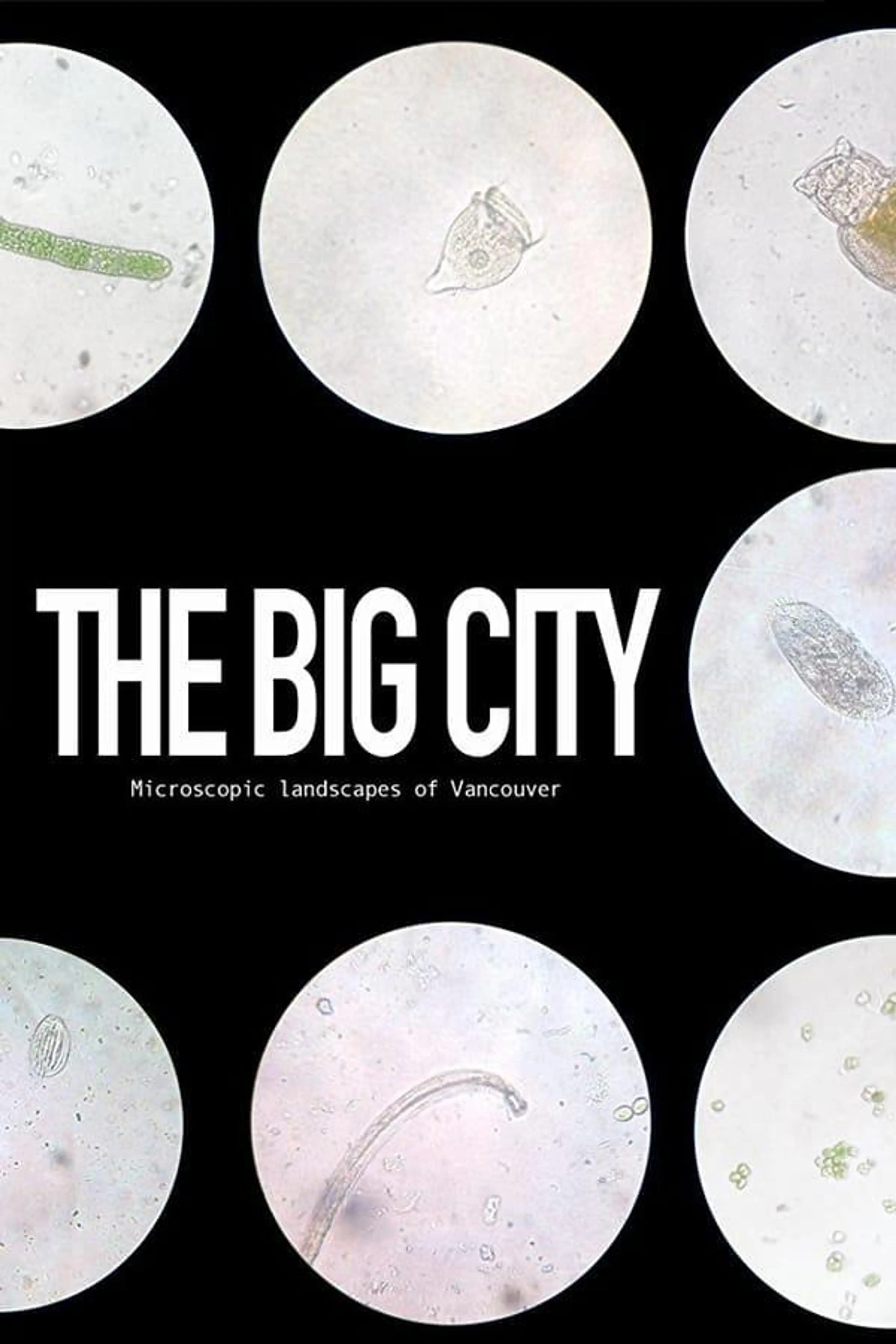 The Big City