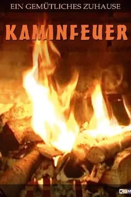 Kaminfeuer 10 Stunden