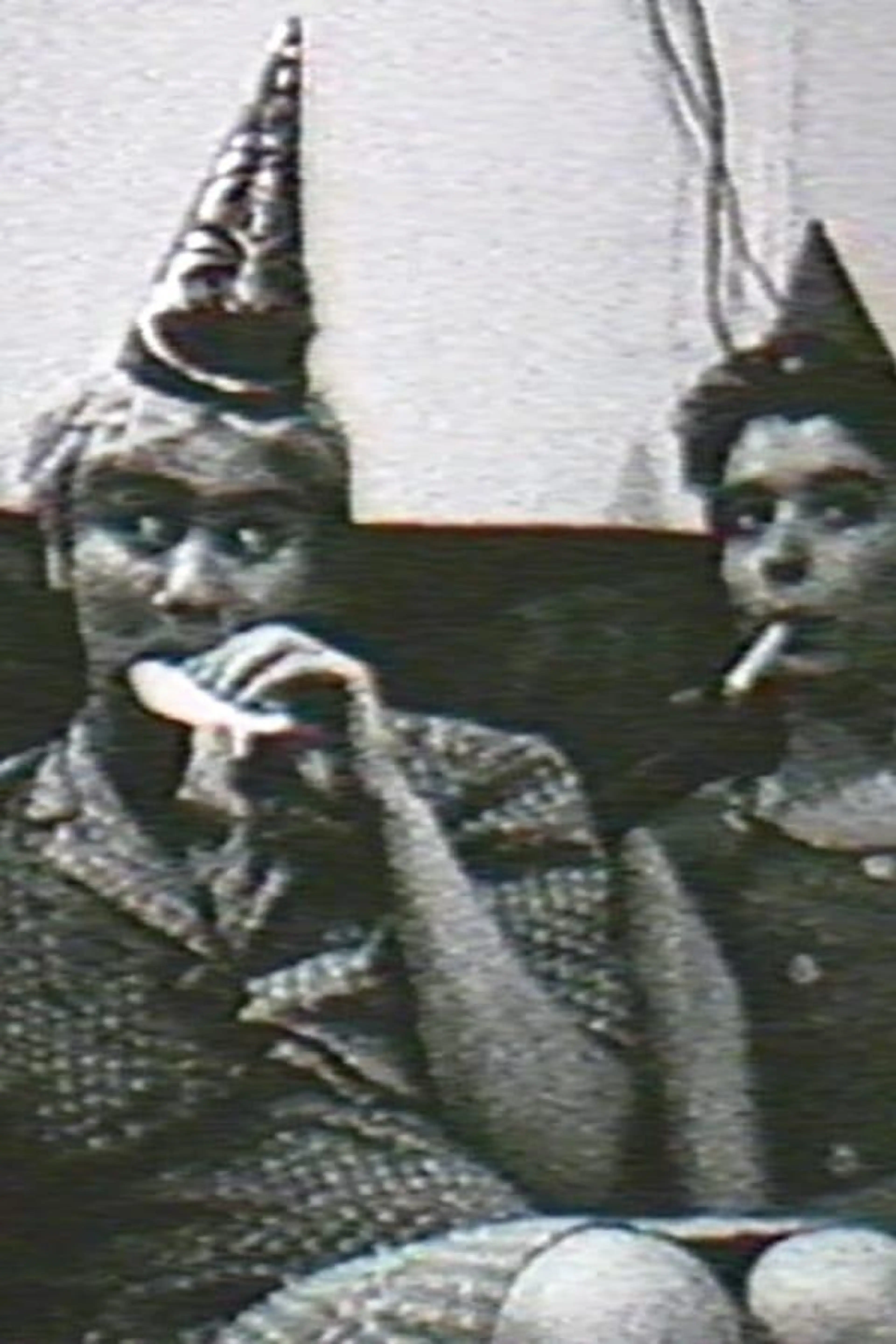 The Birthday Party