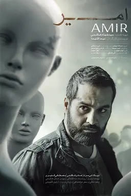 Amir