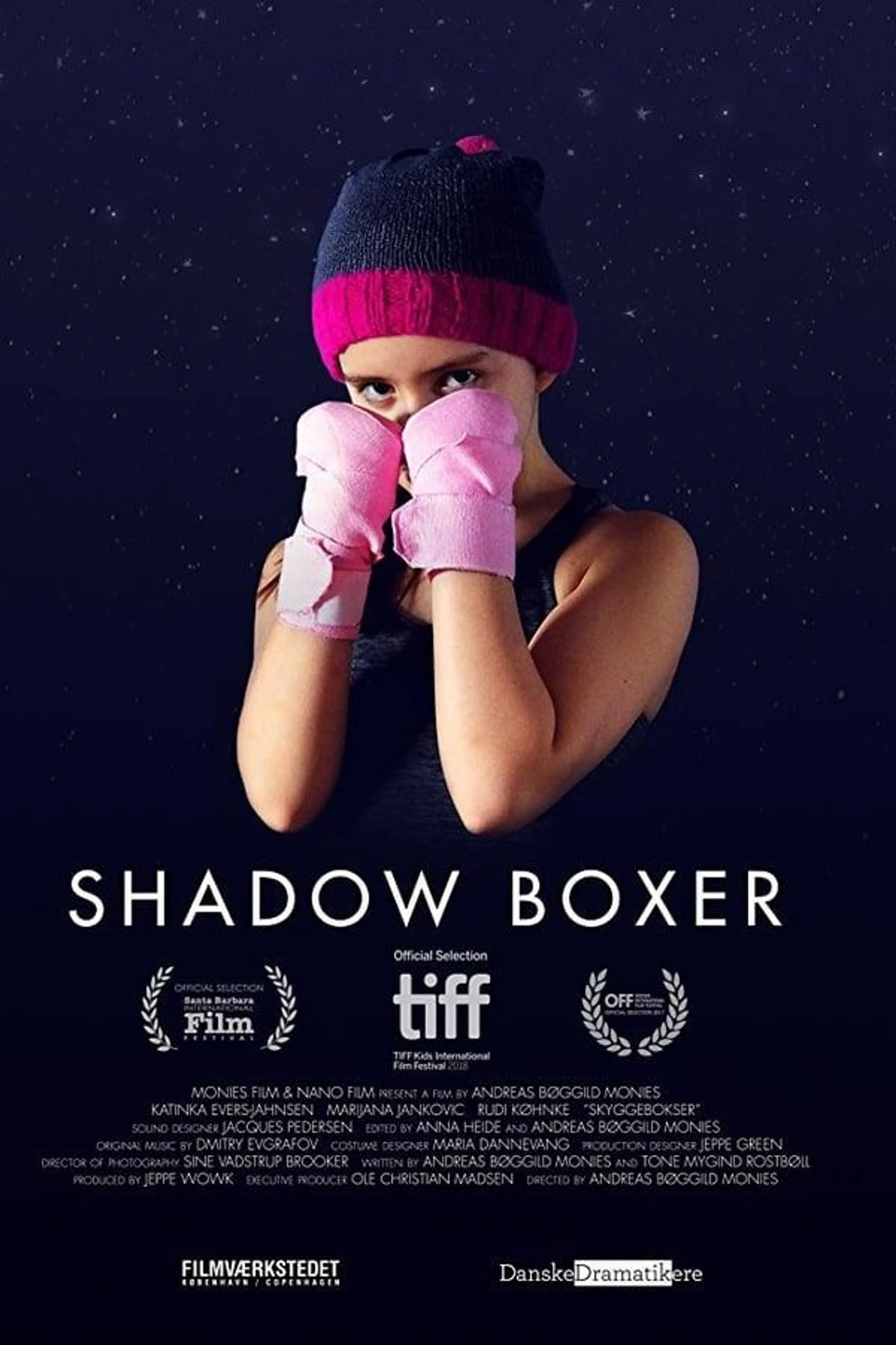 Shadow Boxer