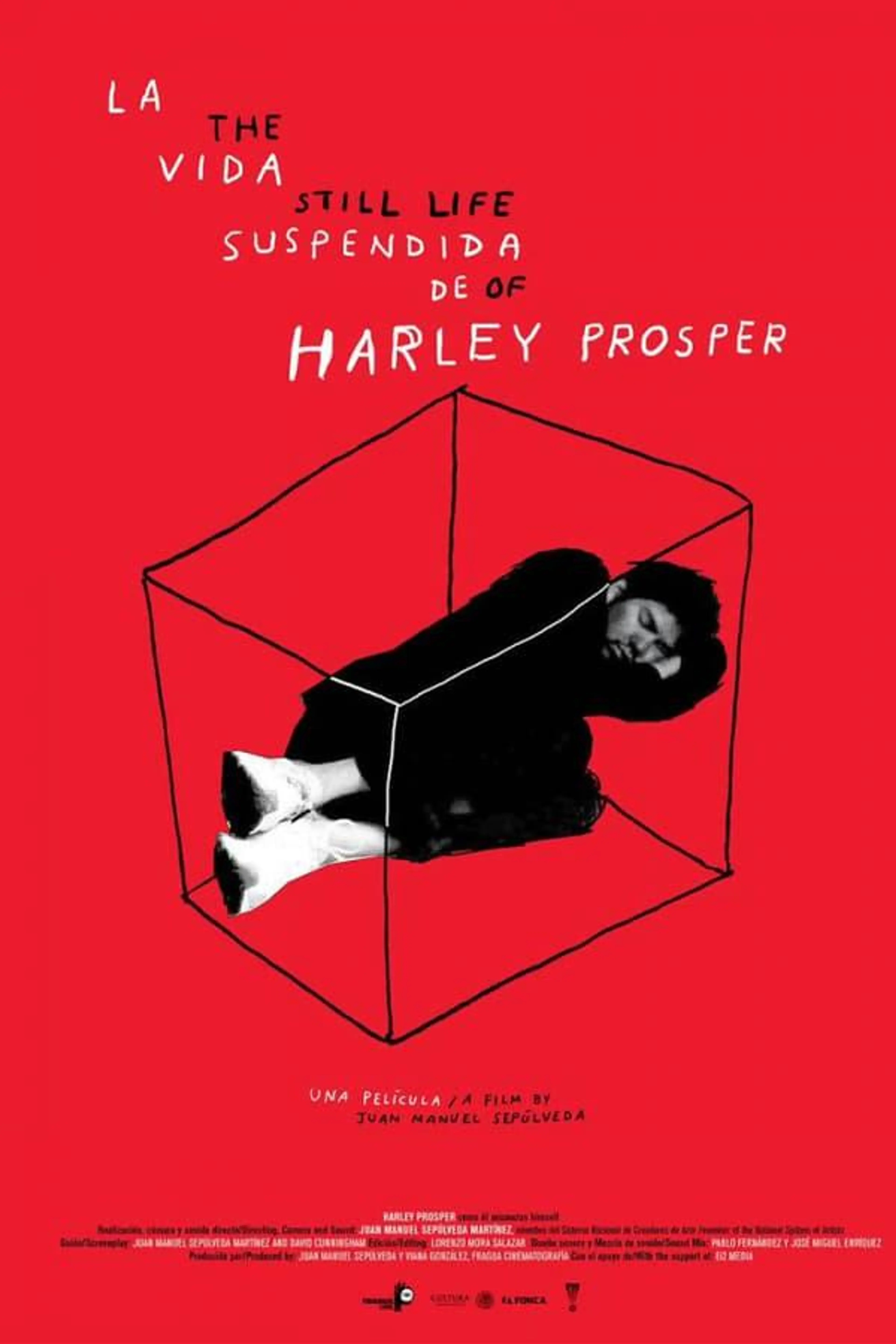 The Still Life of Harley Prosper