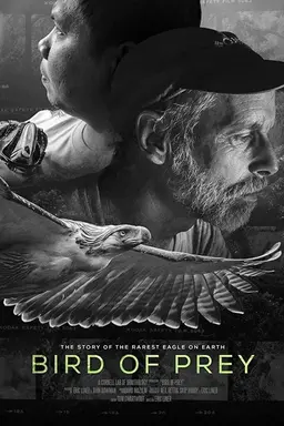 Bird of Prey