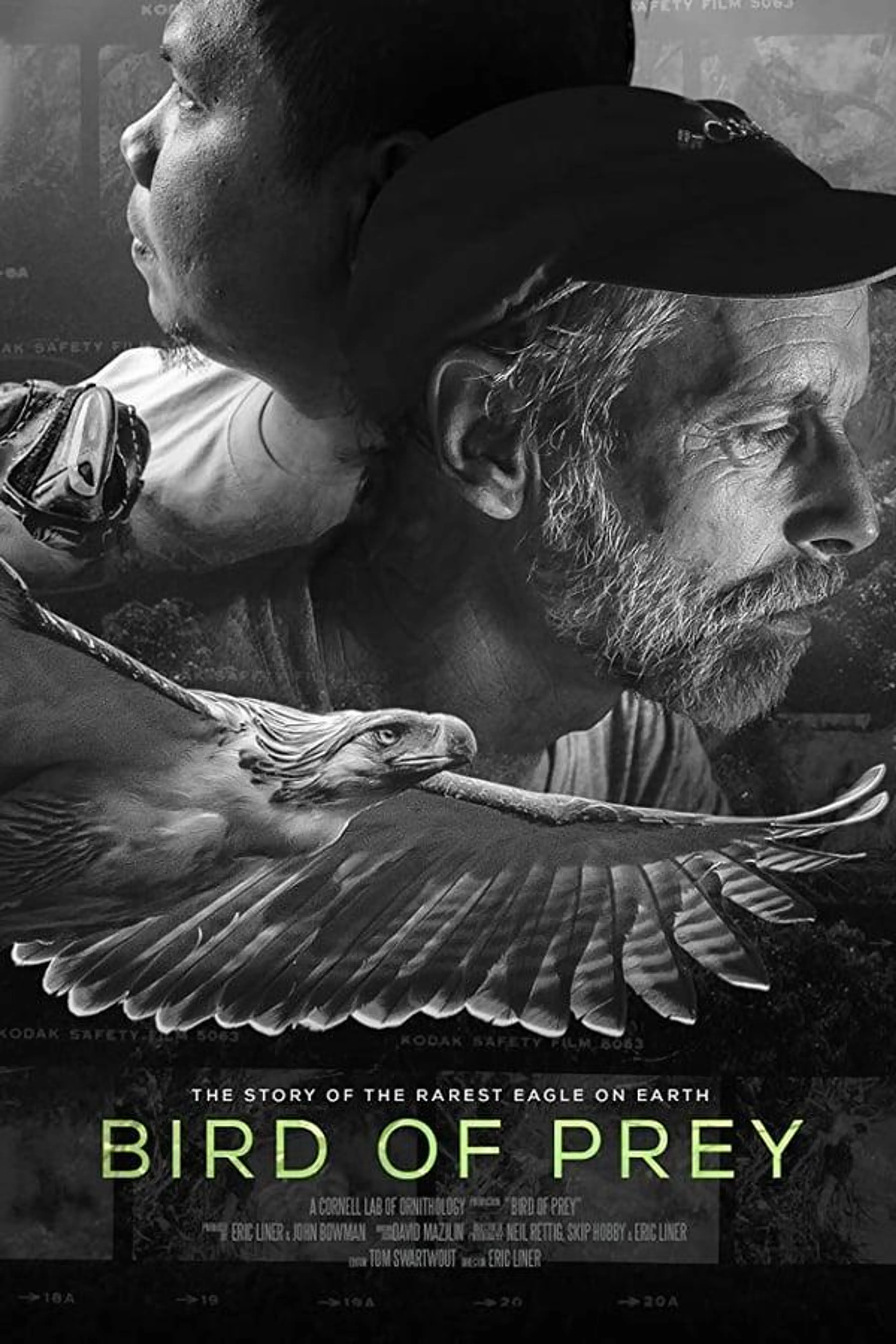Bird of Prey